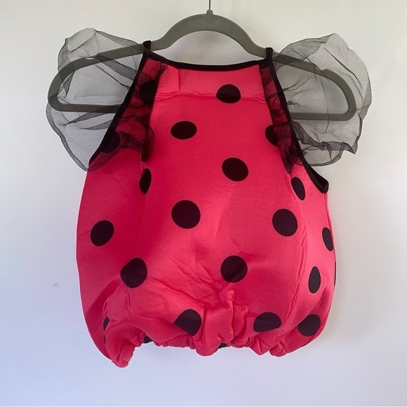 NEW! Girls 3-5 yrs Ladybug Costume Forum Novelties Hat with Antennas & Wings - Picture 5 of 14